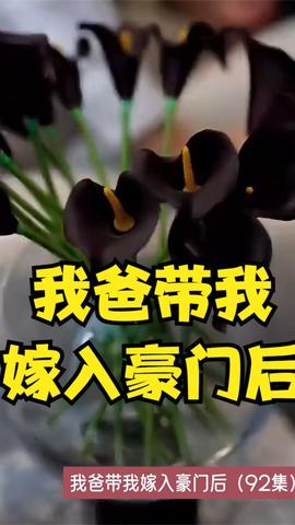 我爸带我嫁入豪门后 全集(大结局)