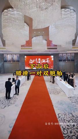 下山后，错撩一对双胞胎 全集(大结局)