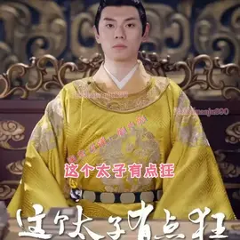 这个太子有点狂 全集(大结局)