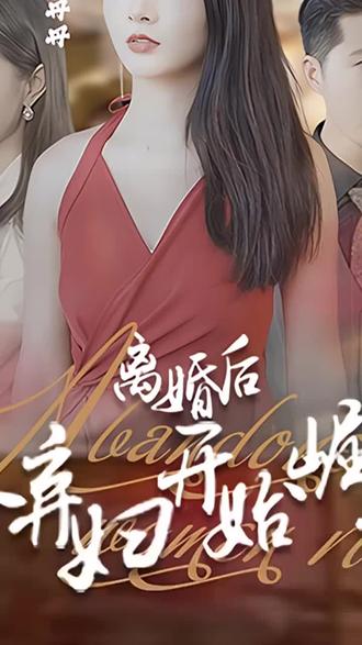 离婚后，从弃妇开始崛起 61-80集