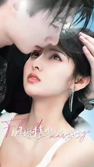 闪婚植物人老公 61-80集