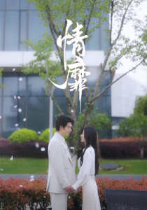 情靡 全集(大结局)