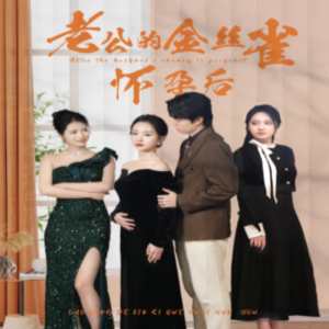 老公的金丝雀怀孕后 全集(大结局)