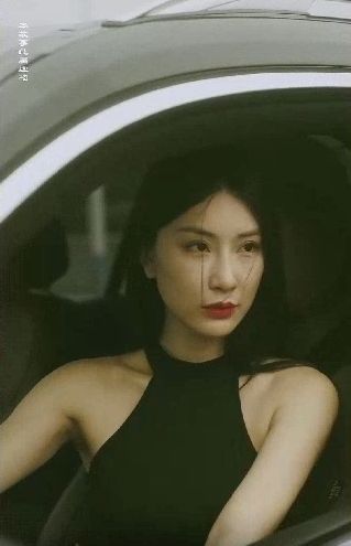 特工凤凰（绝色特工） 全集(大结局)