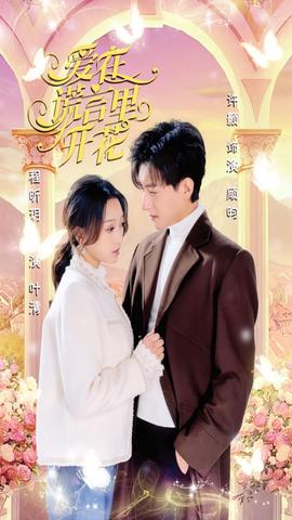 爱在谎言里开花 全集(大结局)