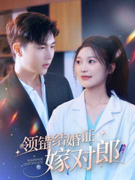 领错结婚证嫁对郎 全集(大结局)