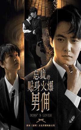 总裁的贴身火爆男佣 全集(大结局)