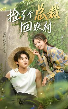 捡了个总裁回农村 全集(大结局)