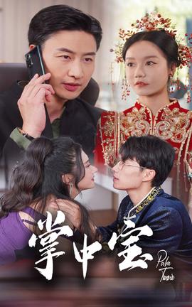 掌中宝 全集(大结局)