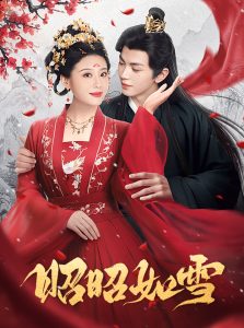 昭昭如雪 全集(大结局)