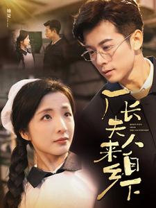 厂长夫人来自乡下 全集(大结局)