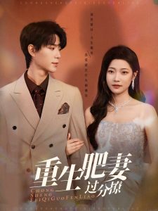 重生肥妻过分撩 全集(大结局)