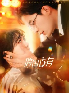 跨国占有 全集(大结局)